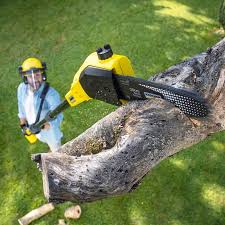 Best Lawn Pest Prevention  in Tomahawk, WI